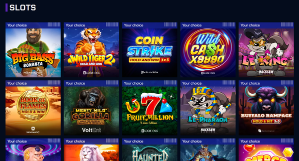justbit casino Gameplay